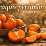 caquis persimon